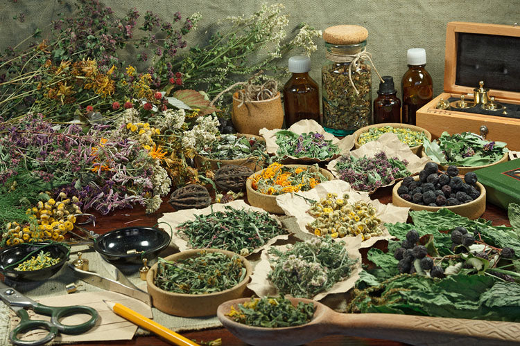 Herbs
